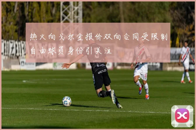 热火向戈尔金报价双向合同受限制自由球员身份引关注