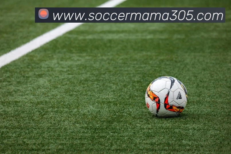 体育赛事直播
